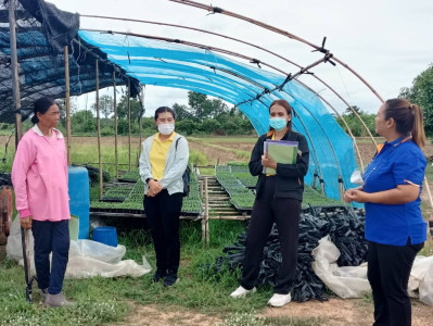 ลงพื้นที่ติดตามโครงการยกระดับคุณภาพมาตรฐานสินค้าเกษตรของจังหวัดพิจิตร(GAP) การทำพริกซอส ประจำปีงบประมาณ พ.ศ. 2566 ... พารามิเตอร์รูปภาพ 1