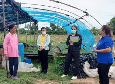 ลงพื้นที่ติดตามโครงการยกระดับคุณภาพมาตรฐานสินค้าเกษตรของจังหวัดพิจิตร(GAP) การทำพริกซอส ประจำปีงบประมาณ พ.ศ. 2566 ... พารามิเตอร์รูปภาพ 2