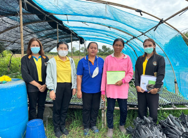 ลงพื้นที่ติดตามโครงการยกระดับคุณภาพมาตรฐานสินค้าเกษตรของจังหวัดพิจิตร(GAP) การทำพริกซอส ประจำปีงบประมาณ พ.ศ. 2566 ... พารามิเตอร์รูปภาพ 1