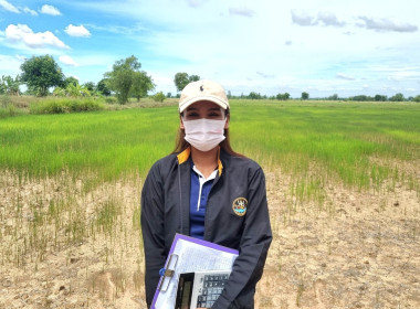 ติดตามโครงการระบบส่งเสริมเกษตรแบบแปลงใหญ่ ... พารามิเตอร์รูปภาพ 1