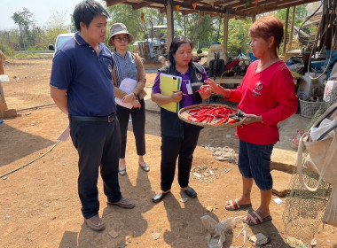 ติดตามผลการดำเนินงานโครงการส่งเสริมและพัฒนาอาชีพเกษตรกรภายใต้ตามโครงการจัดที่ดินทำกินให้ชุมชนตามนโยบายรัฐบาล ปีงบประมาณ 2567 ... พารามิเตอร์รูปภาพ 6