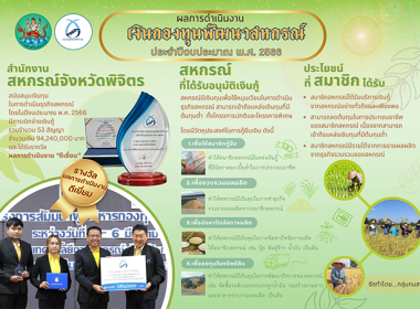 Infographic ของหน่วยงาน พารามิเตอร์รูปภาพ 8