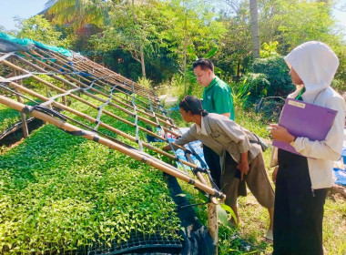 ติดตามโครงการยกระดับคุณภาพมาตรฐานสินค้าเกษตร (GAP) ... พารามิเตอร์รูปภาพ 7