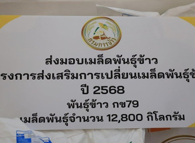มอบเมล็ดพันธุ์ข้าวโครงการส่งเสริมการเปลี่ยนเมล็ดพันธุ์ข้าว ... พารามิเตอร์รูปภาพ 9