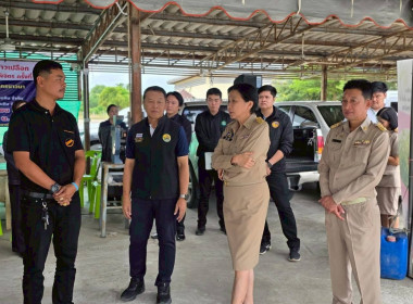 โครงการ “จัดตลาดนัดข้าวเปลือก ปีการผลิต 2568/69 ... พารามิเตอร์รูปภาพ 4