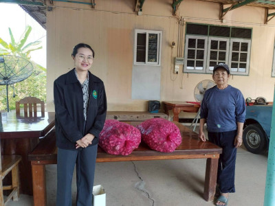 กระจายหอมแดงของสหกรณ์การเกษตรเพื่อการตลาดลูกค้า ... พารามิเตอร์รูปภาพ 1