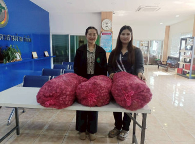 กระจายหอมแดงของสหกรณ์การเกษตรเพื่อการตลาดลูกค้า ... พารามิเตอร์รูปภาพ 6