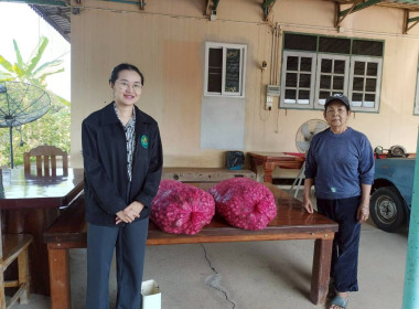 กระจายหอมแดงของสหกรณ์การเกษตรเพื่อการตลาดลูกค้า ... พารามิเตอร์รูปภาพ 8