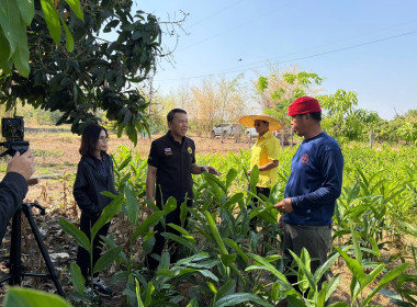 ยกระดับความเข้มแข็ง ส่งเสริมอาชีพแก้ไขปัญหาหนี้สมาชิกสหกรณ พารามิเตอร์รูปภาพ 4