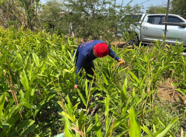 ยกระดับความเข้มแข็ง ส่งเสริมอาชีพแก้ไขปัญหาหนี้สมาชิกสหกรณ พารามิเตอร์รูปภาพ 5