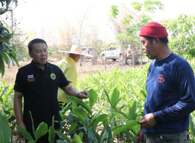 ยกระดับความเข้มแข็ง ส่งเสริมอาชีพแก้ไขปัญหาหนี้สมาชิกสหกรณ พารามิเตอร์รูปภาพ 2