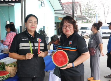 พิธีมอบเงินค่าฝากเก็บและรักษาคุณภาพข้าวเปลือกตามโครงการชะลอการขายข้าวเปลือกนาปี ... พารามิเตอร์รูปภาพ 7