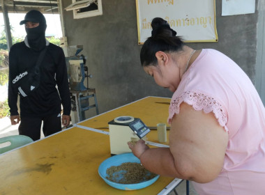 ลงพื้นที่ตรวจเยี่ยมและติดตามสถานการณ์การรับซื้อข้าวเปลือกนาปีฯ สหกรณ์การเกษตรทับคล้อจำกัด ... พารามิเตอร์รูปภาพ 4