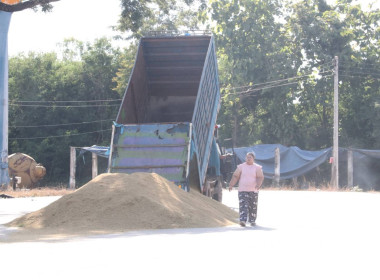 ลงพื้นที่ตรวจเยี่ยมและติดตามสถานการณ์การรับซื้อข้าวเปลือกนาปีฯ สหกรณ์การเกษตรทับคล้อจำกัด ... พารามิเตอร์รูปภาพ 9
