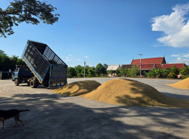ลงพื้นที่ตรวจเยี่ยมและติดตามสถานการณ์การรับซื้อข้าวเปลือกนาปีฯ สหกรณ์การเกษตรทับคล้อจำกัด ... พารามิเตอร์รูปภาพ 11